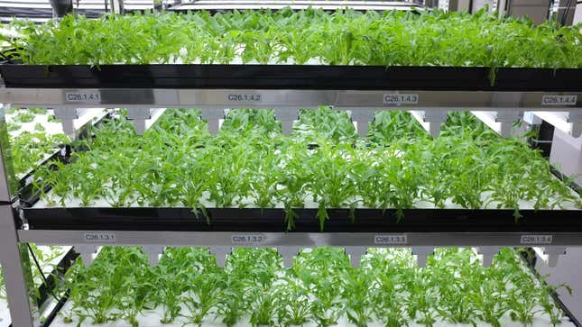 Toshiba vertical garden