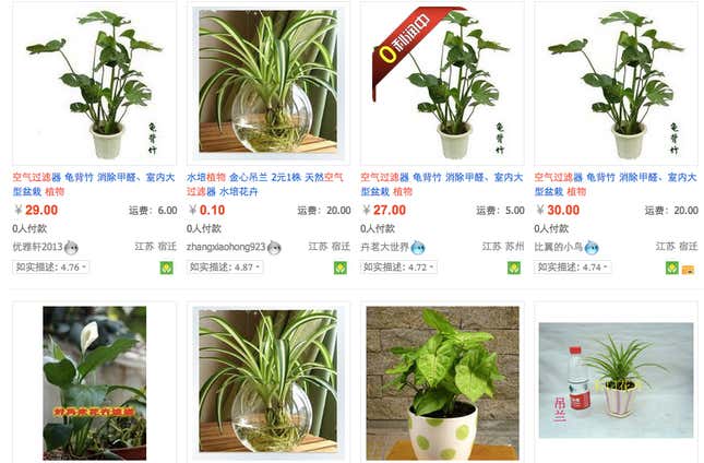 The search phrase air filtering plants turns up thousands of results.
