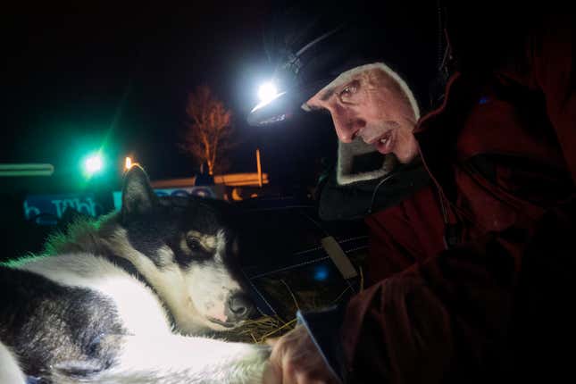 A musher and his dog at the Tana Bru check point.