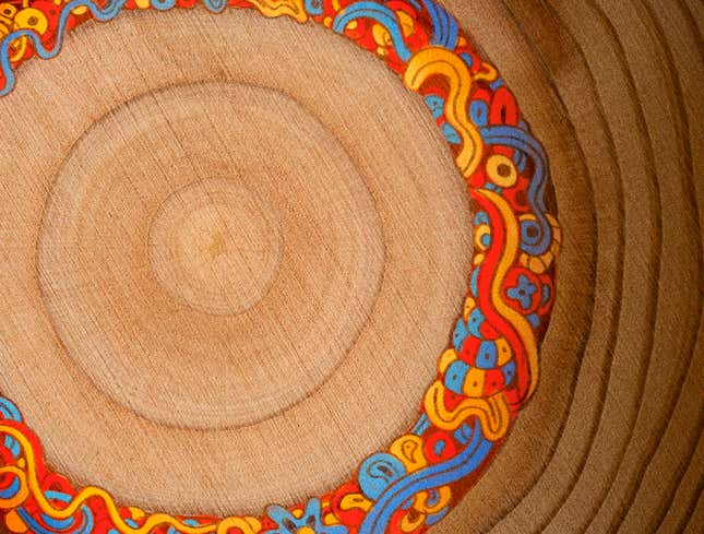 Image for article titled Cross Section Of Tree Suggests It May Have Gone Through Psychedelic Period During ’60s