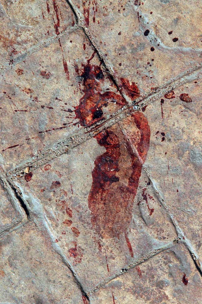 In April 2006, three bombs ripped through Dahab.