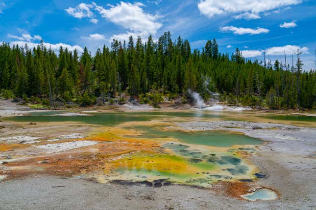  General views of Crackling Lake in the Norris Geyser Basin at Yellowstone National Park.