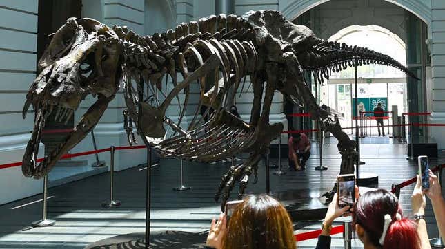 Esqueleto de un tiranosaurio expuesto en Singapur.