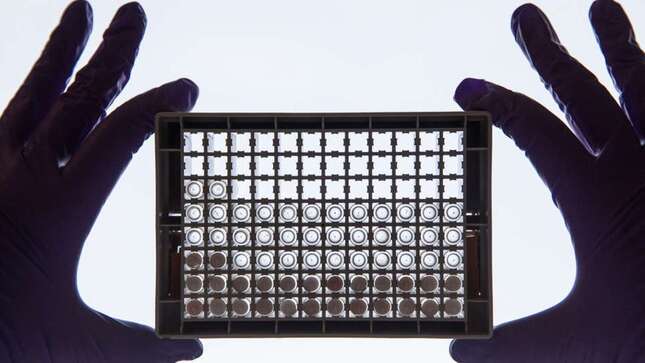 Los primeros resultados de la vacuna personalizada contra el cáncer de piel son prometedores