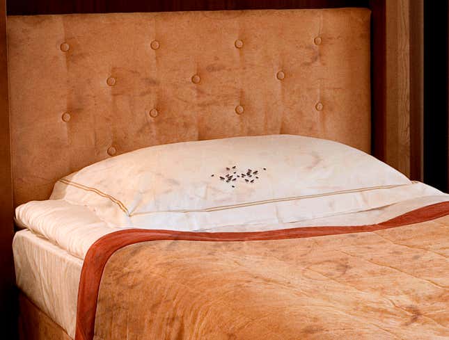 Image for article titled Motel Welcomes Guests With Complimentary Bed Bugs On Pillows