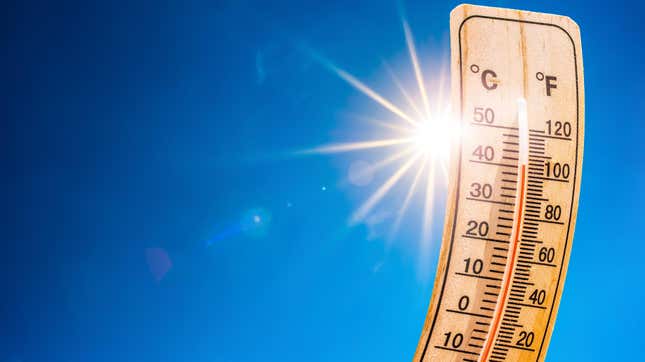 Image for article titled Temperature-Related Deaths in the US Could Jump Fivefold by 2100, Study Finds