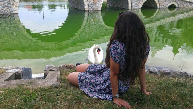 Image for article titled God Who Took Form Of Swan Finding It Much Harder To Seduce Women Than Expected