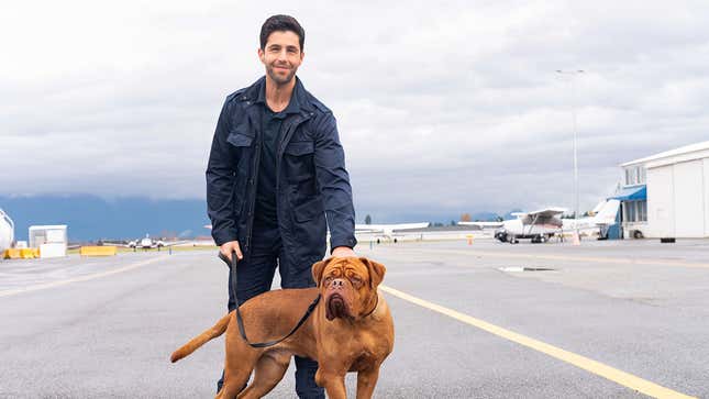 Image of Josh Peck and his canine co-star in Disney Plus' Turner & Hooch