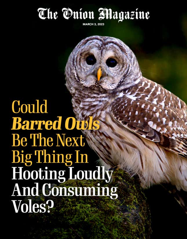 Image for article titled Could Barred Owls Be The Next Big Thing In Hooting Loudly And Consuming Voles?