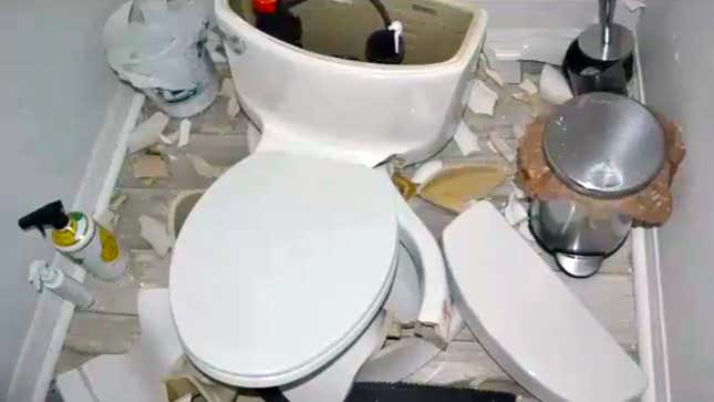Image for article titled Toilet Explosions: More Common Than You Might Think