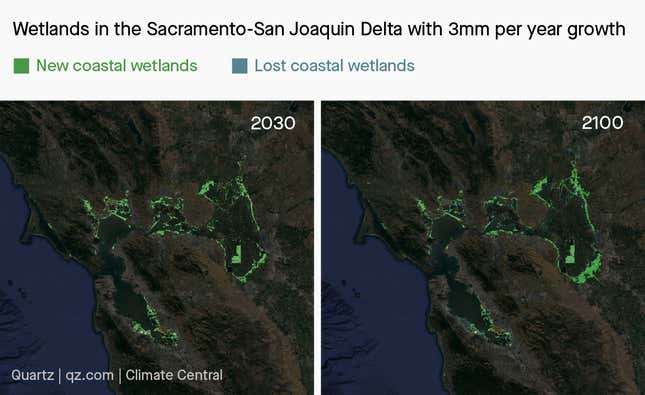 Wetlands in the Sacramento-San Joaquin Delta in 2030 and 2100 with 3mm per year growth.