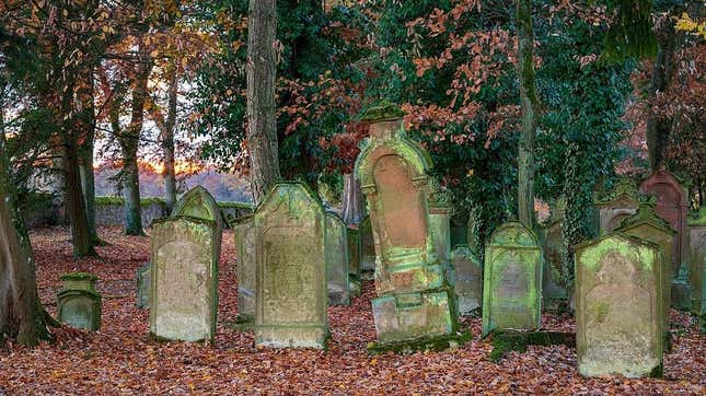 Spooky old cemetery in the deep, dark woods