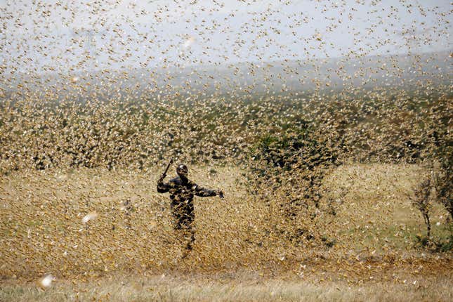 REUTERS/Baz Ratner