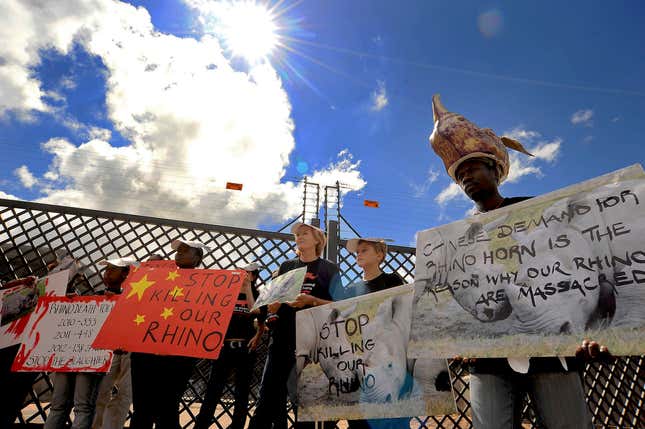 Conservationists blame Chinese demand for ivory for South Africa's poaching crisis.
