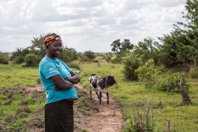 South Sudanese refugee Nyantet Malual, 28, purchased a cow with money she saved from farming on her small plot in Uganda’s Arua district.