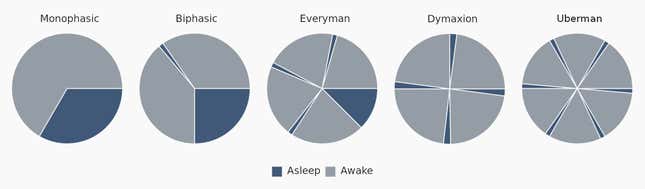 Image for article titled I once tried to cheat sleep, and for a year I succeeded