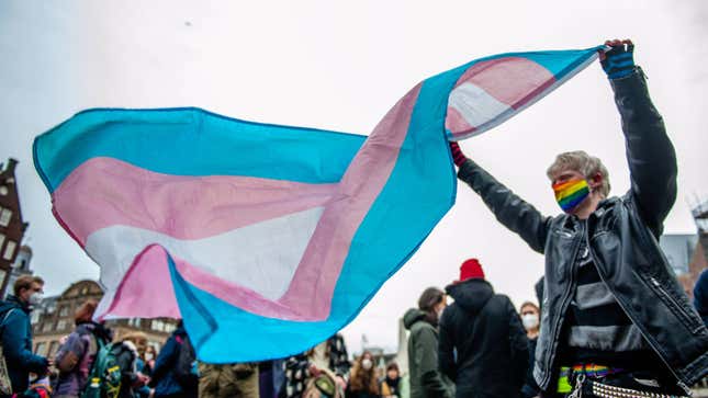 A protester waves a transgender flag outdoors.