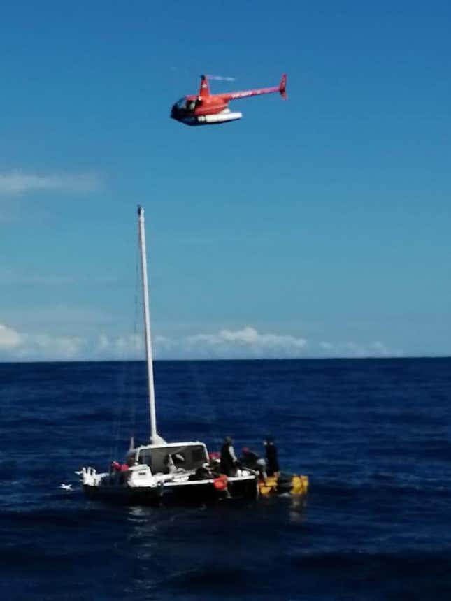 Image for article titled An Australian Sailor And His Dog Were Rescued After Floating Adrift Three Months