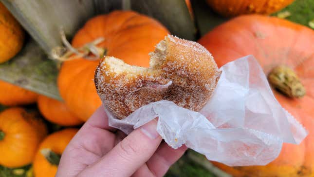 Image for article titled Where to Find the Best Apple Cider Doughnuts This Season