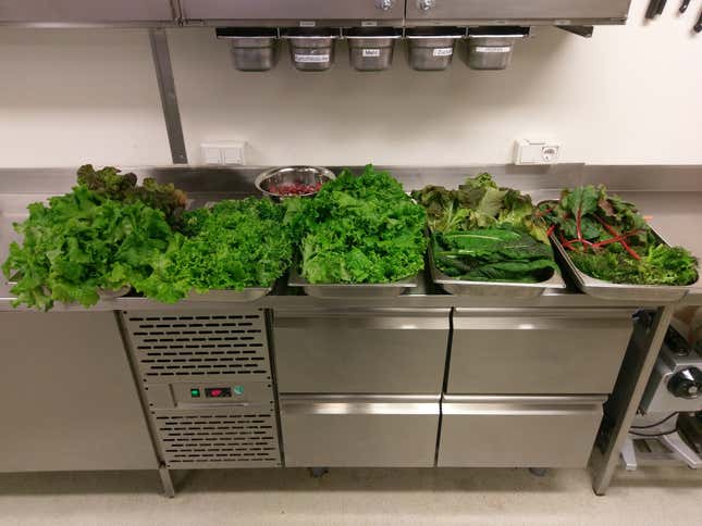 The first collection of harvested vegetables.