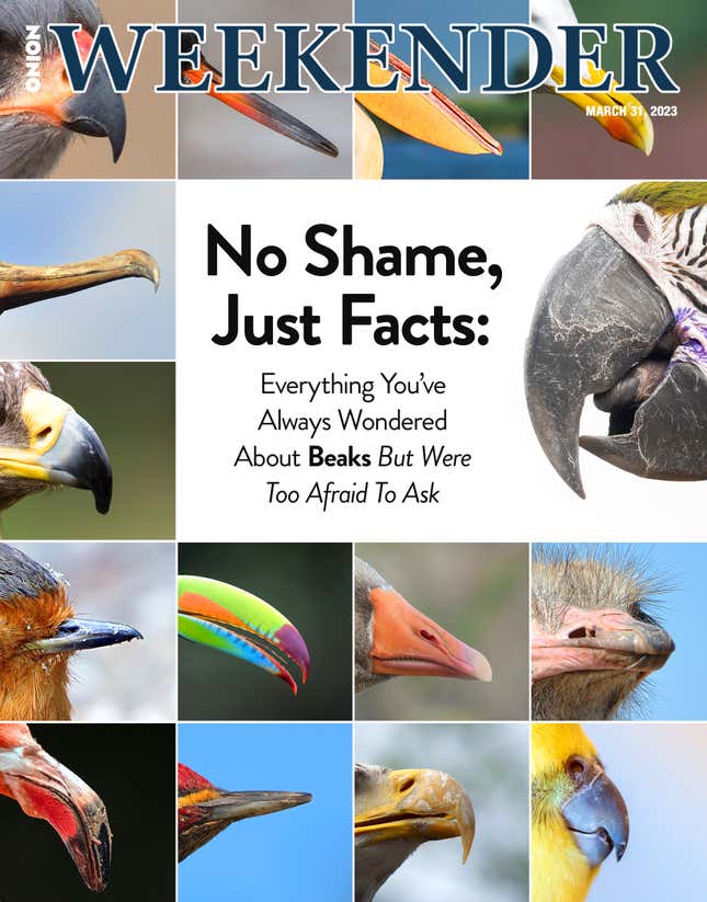 Image for article titled No Shame, Just Facts: Everything You’ve Always Wondered About Beaks But Were Too Afraid To Ask