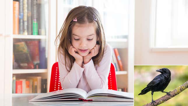 Image for article titled Study: Average U.S. Third-Grader Reading At Level Of Crow