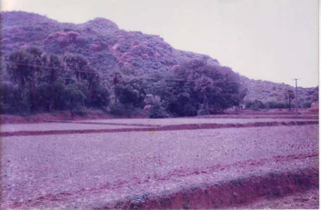 What the farm looked like 20 years ago.