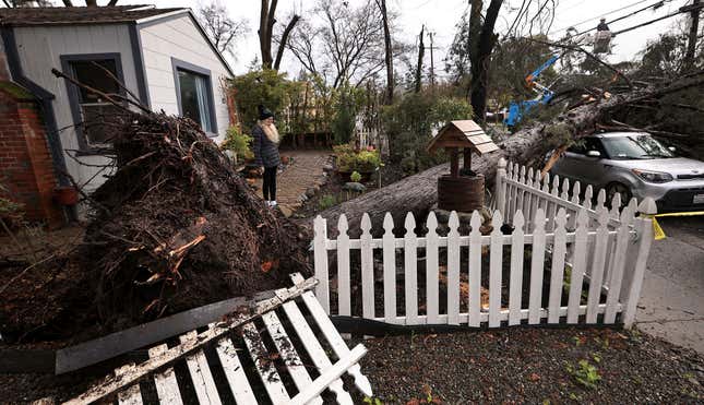 Helena Zappelli surveys the damage to her yard and vehicle after a large tree fell over, Tuesday, March 21, 2023, on Humboldt Street in Santa Rosa, California.