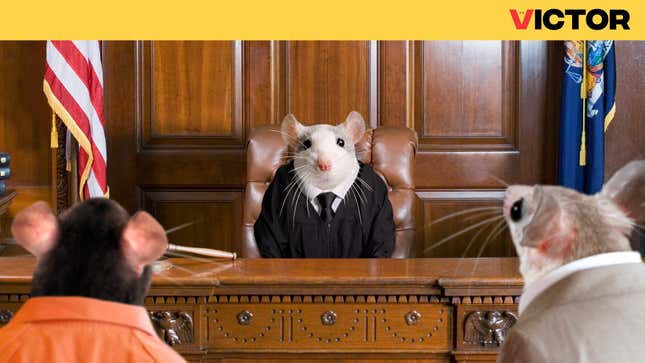 Image for article titled More Ethical Mouse Trap Convicts Rodents Of Capital Offense Before Sending Them To Electric Chair