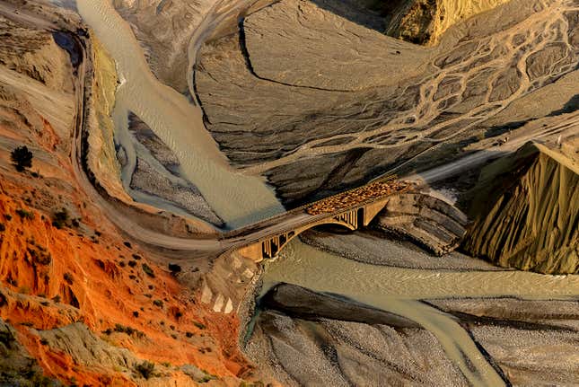 Image for article titled Epic and intimate glimpses of nature from the Sony World Photography Awards