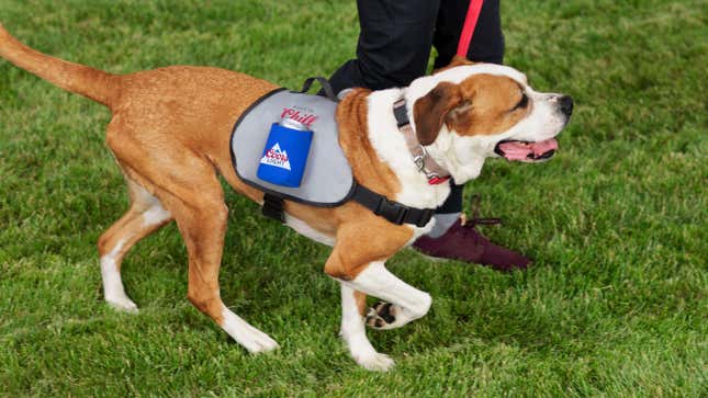 A brown and white dog wearing a harness with a pouch for holding a can of beer [Image provided by Coors]