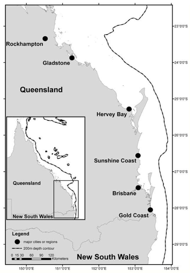 Right now, Irukandjis are seldom seen south of Gladstone, far north of some of Australia’s most popular beach destinations, such as Surfers Paradise on the Gold Coast.