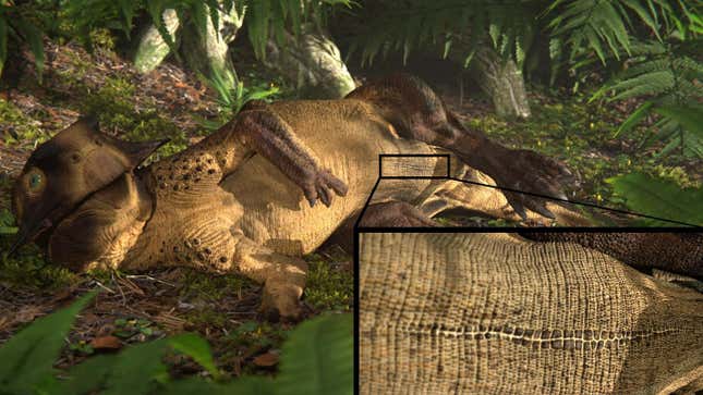 Rendering of a reclining Psittacosaurus, with insert showing the umbilical scar.
