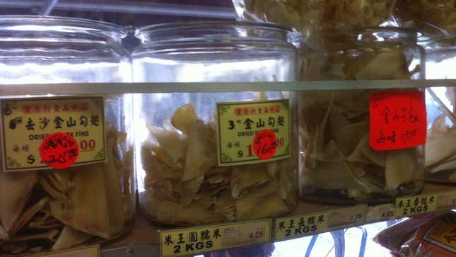 Fins on discount—but still plenty pricey.