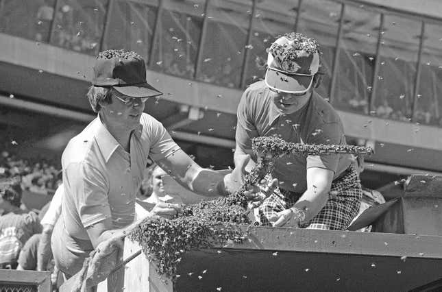 Image for article titled Mike Pence&#39;s fly presents: Great insect moments in sports