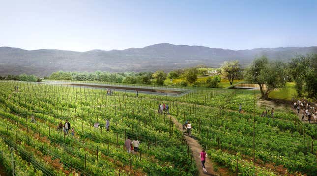 Image for article titled The world’s largest green roof, with an orchard and a vineyard, is planned for Silicon Valley