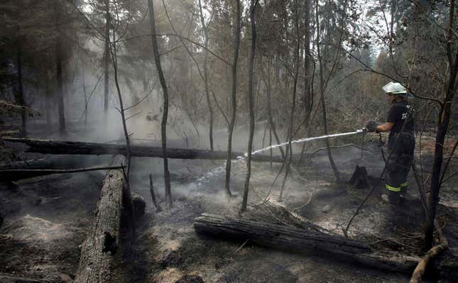 Scientists Found a ‘Magical’ Solution to Fight Dangerous Zombie Fires