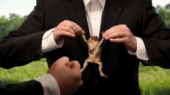 Image for article titled EPA Thugs Violently Beat Endangered Toad Who Hasn’t Paid Protection Money