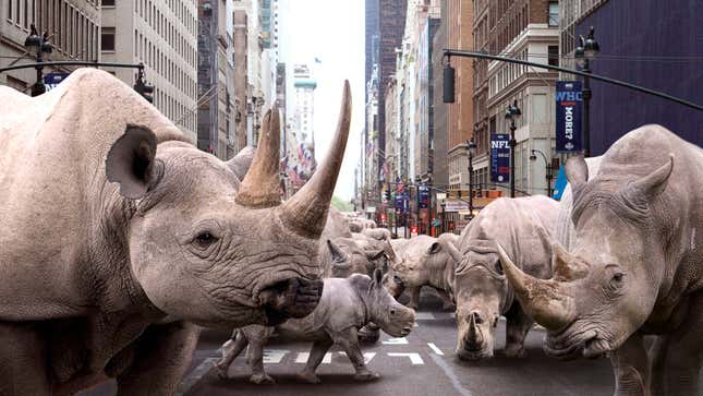 Image for article titled Thousands Of Formerly Endangered White Rhinos Flood City Streets Mere Days After Humans Quarantined Indoors