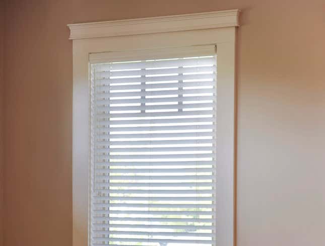 Image for article titled Extravagant New Window Blinds Inspired By The Latest Styles From Venice