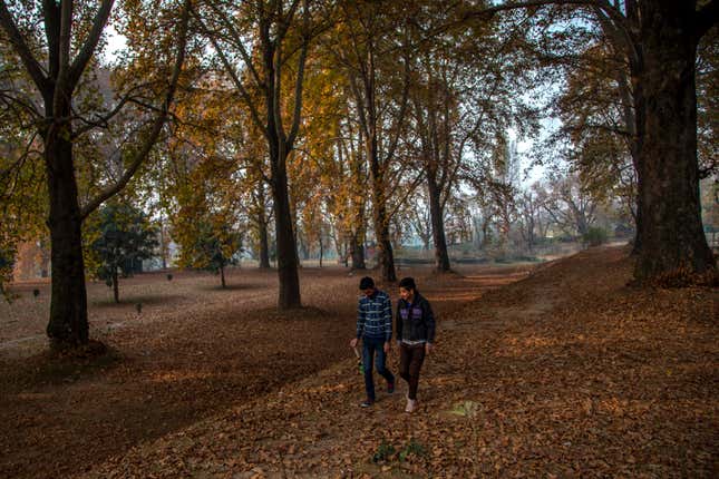 Kashmiri boys at a Nishat Garden strewn with fallen chinar leaves on the outskirts of Srinagar, the state’s capital.