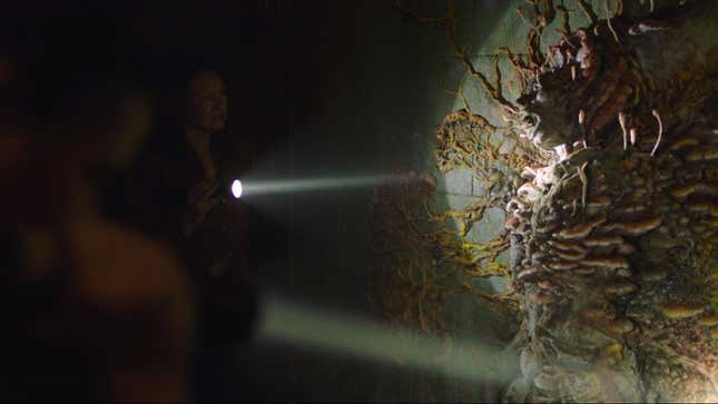 Tess shines a flashlight on an infected person who's been totally fused to the wall by fungal growth in a scene from HBO's The Last of Us.