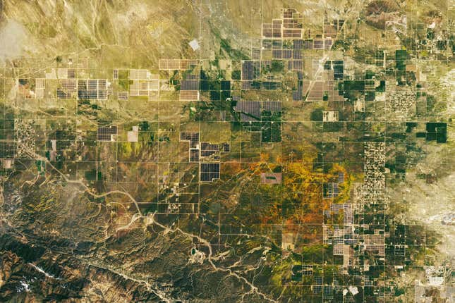 A view of poppies at the Antelope Valley California Poppy Reserve captured from space on April 7, 2023. 