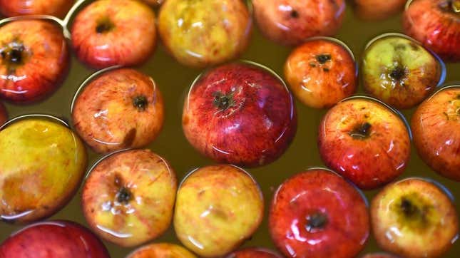 Apples floating in cider during cider-making process
