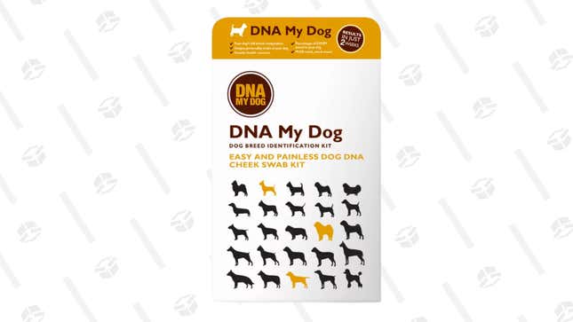 Find out everything you always wanted to know about your dog with this kit. 