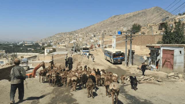 Most Afghans are rural-dwelling and poverty stricken