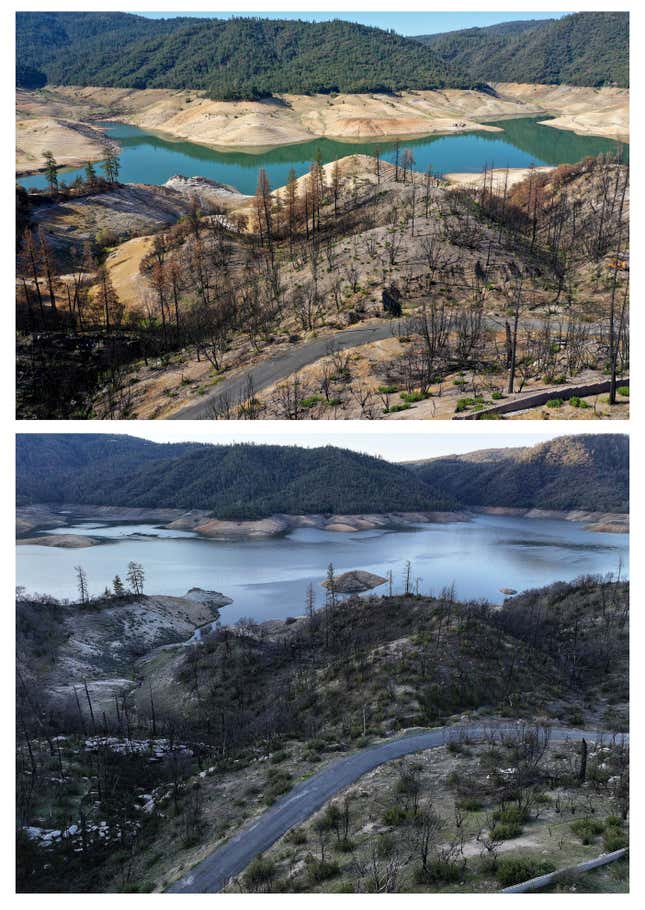 Trees burned by wildfires at Lake Oroville in July 2021 (top) vs. February 2023 (bottom). The water level has risen significantly. 
