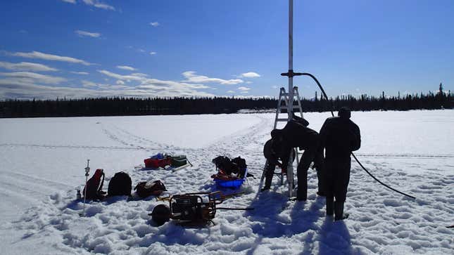 Researchers collect a soil sample in Canada’s Yukon.
