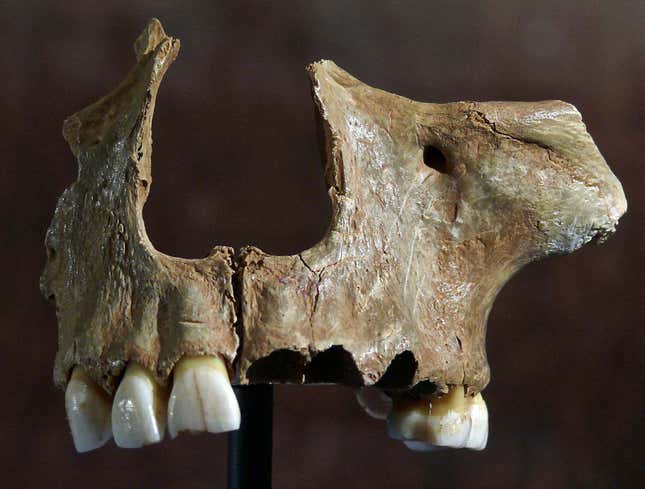 Imagen para el artículo titulado El ADN humano más antiguo encontrado en el Reino Unido revela los orígenes de los primeros británicos