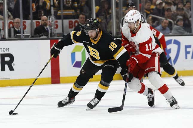 Mar 11, 2023; Boston, Massachusetts, USA; Boston Bruins center Pavel Zacha (18) tries to hold off Detroit Red Wings right wing Filip Zadina (11) during the first period at TD Garden.